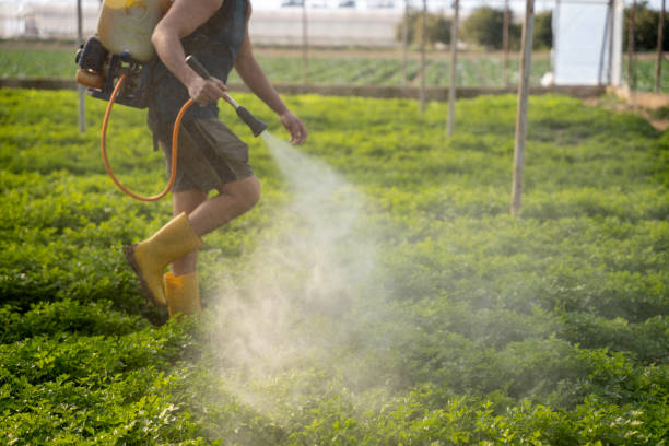 Best Residential Pest Control  in Palos Hls, IL